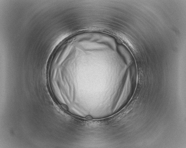 X0000115521087200911201654