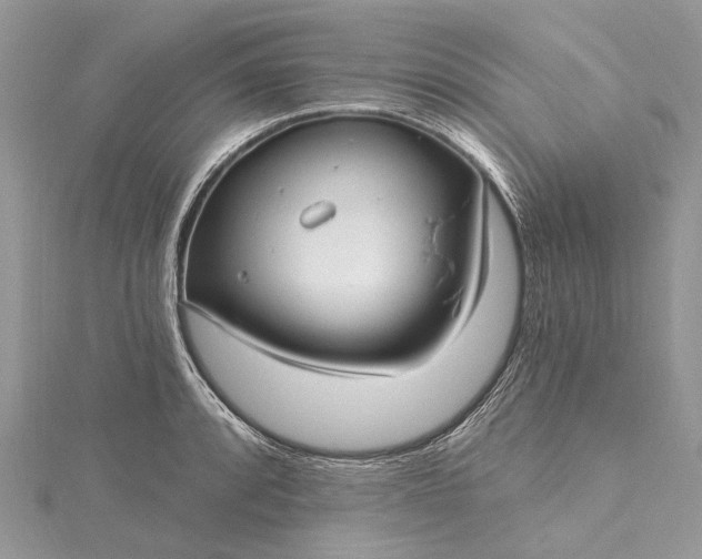 X0000115521088200911201654