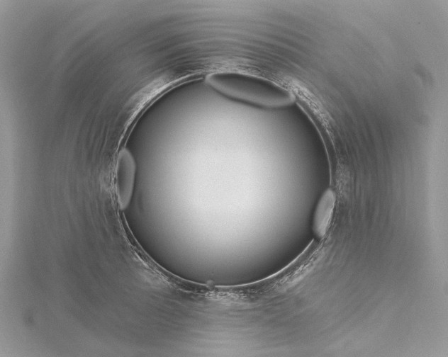 X0000115521089200911201654