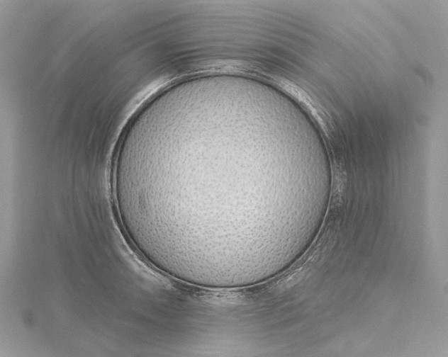 X0000115521090200911201654