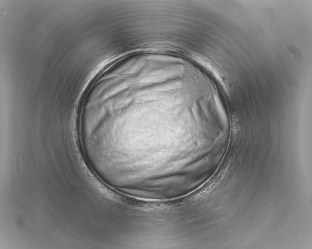 X0000115521091200911201654