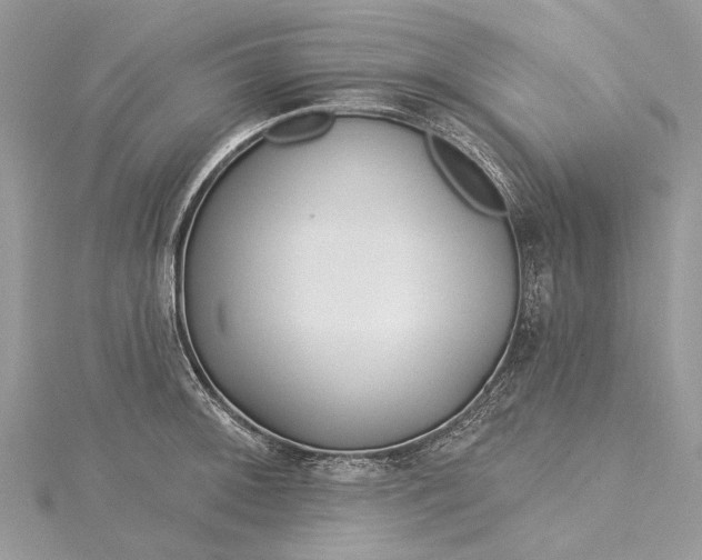 X0000115521092200911201654