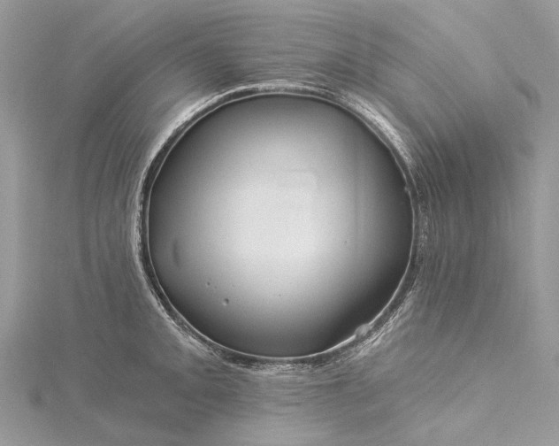 X0000115521093200911201654