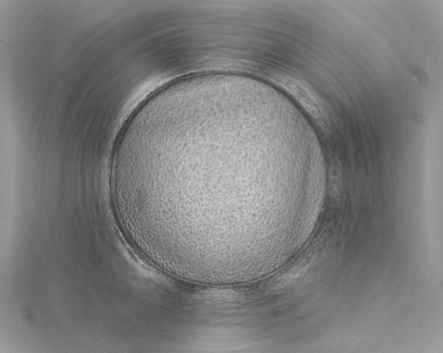 X0000115521094200911201654