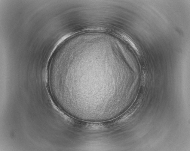 X0000115521095200911201654