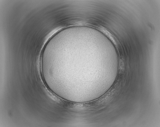 X0000115521098200911201654