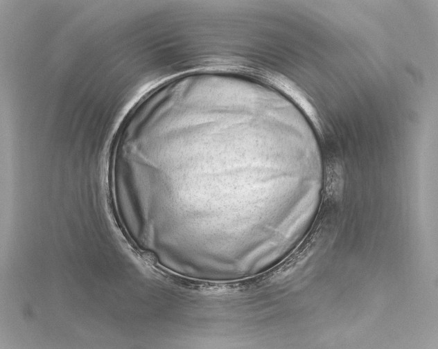 X0000115521099200911201654