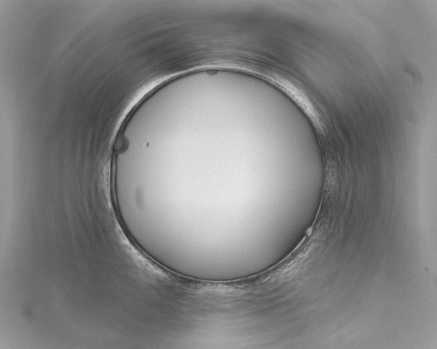 X0000115521100200911201654