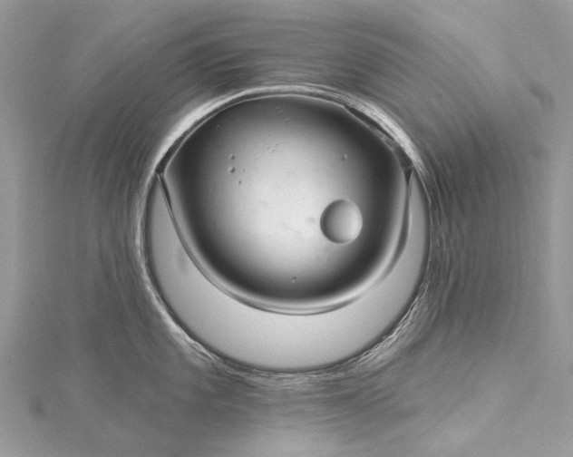 X0000115521101200911201654