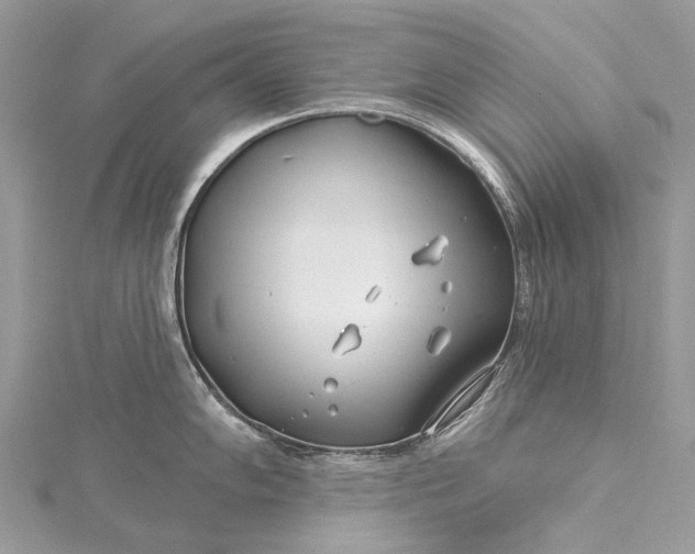 X0000115521102200911201654