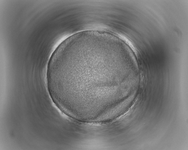 X0000115521103200911201654