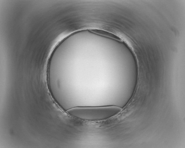 X0000115521104200911201654