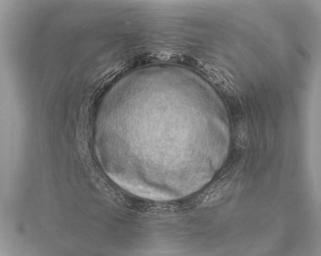 X0000115521105200911201653