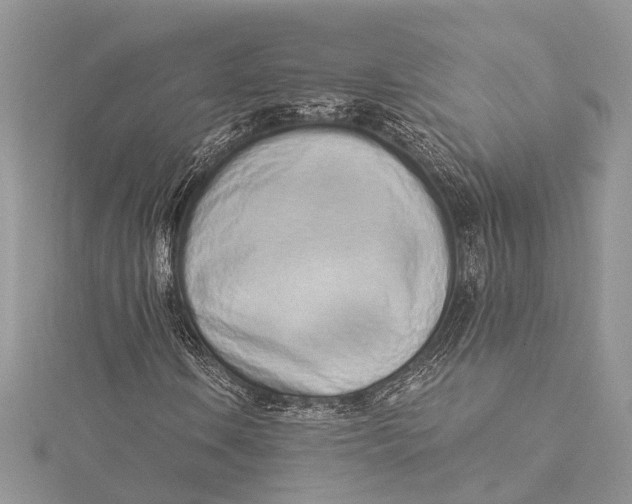 X0000115521106200911201653