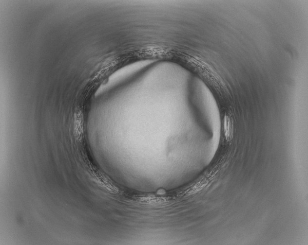 X0000115521107200911201653