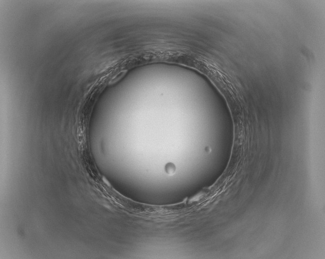 X0000115521109200911201653