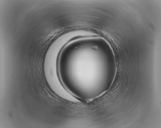 X0000115521110200911201653