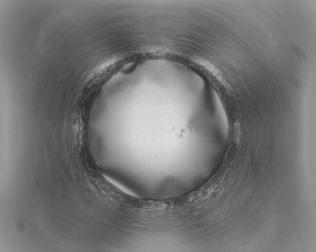 X0000115521111200911201653