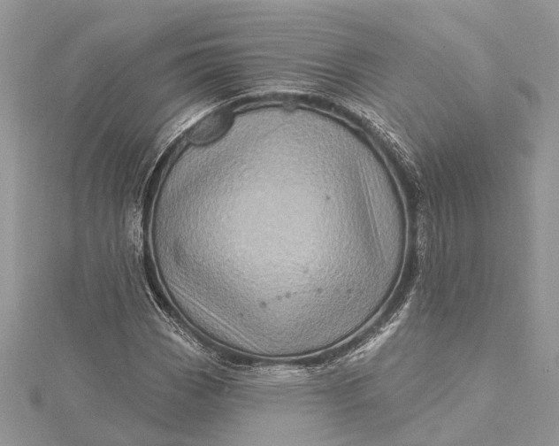 X0000115521113200911201653