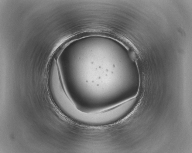 X0000115521114200911201653