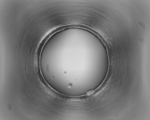 X0000115521118200911201653