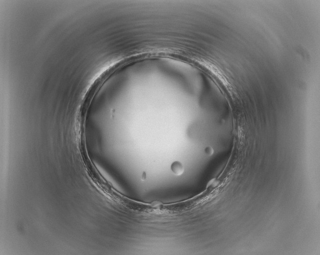 X0000115521119200911201653