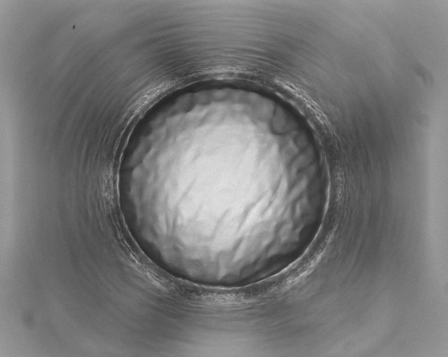 X0000115521121200911201653