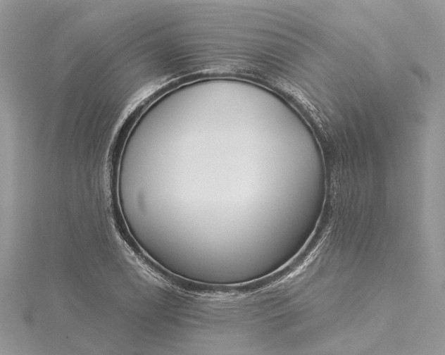 X0000115521122200911201653