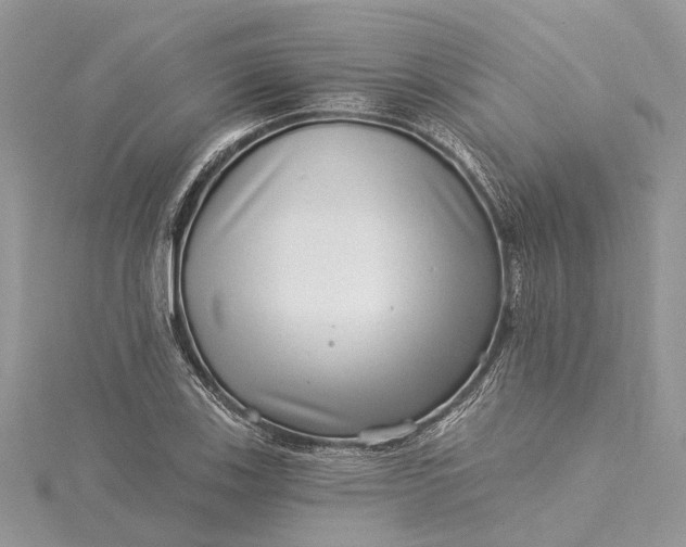 X0000115521123200911201653