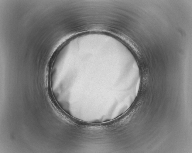 X0000115521126200911201653