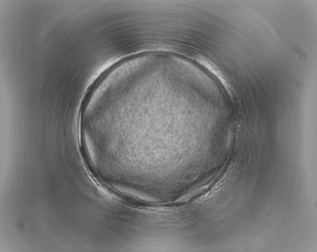 X0000115521127200911201654