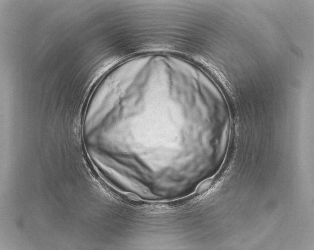 X0000115521129200911201654