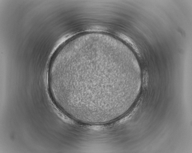 X0000115521130200911201654