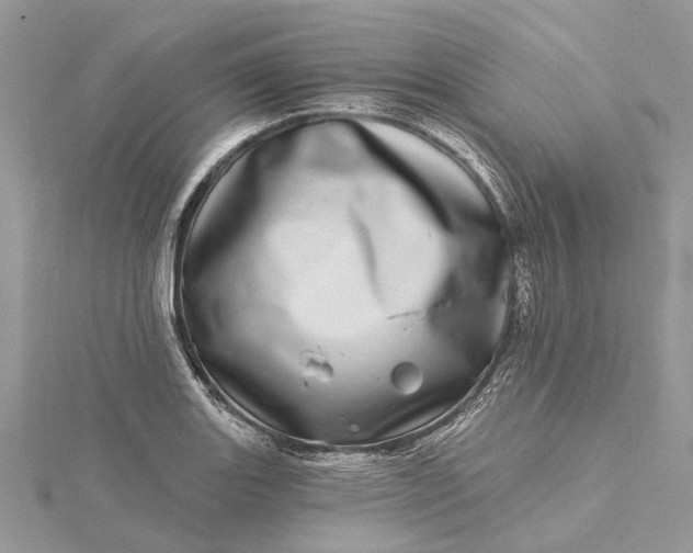 X0000115521131200911201654