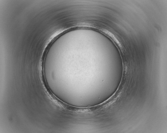 X0000115521133200911201654