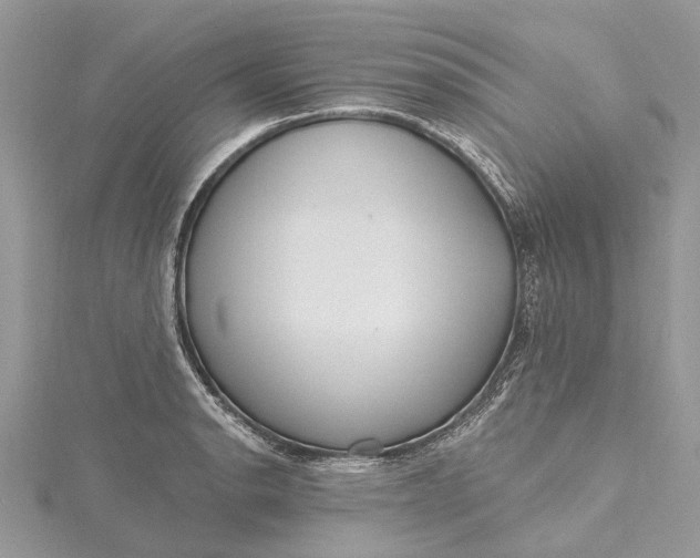 X0000115521134200911201654