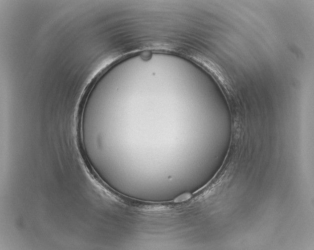 X0000115521135200911201654