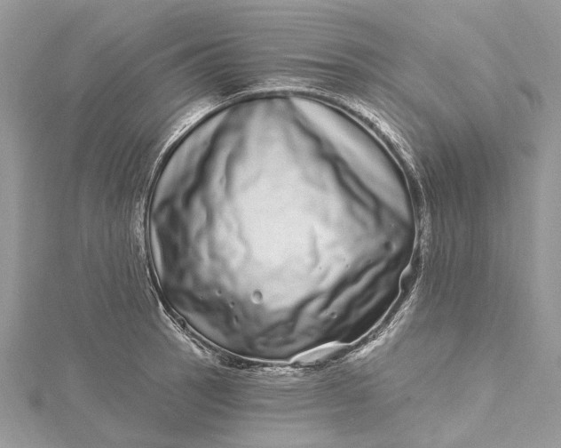 X0000115521137200911201654