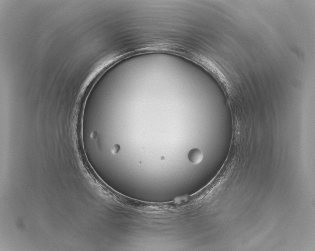 X0000115521138200911201654