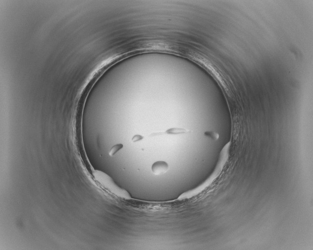 X0000115521139200911201654