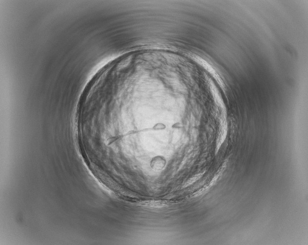 X0000115521141200911201654