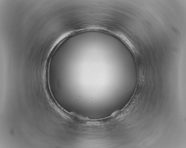 X0000115521142200911201654