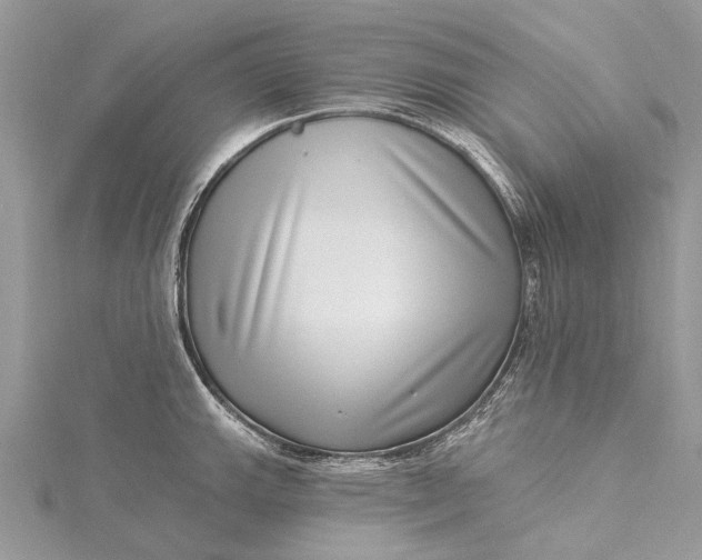 X0000115521143200911201654