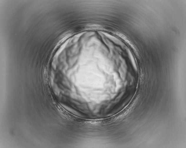 X0000115521145200911201654