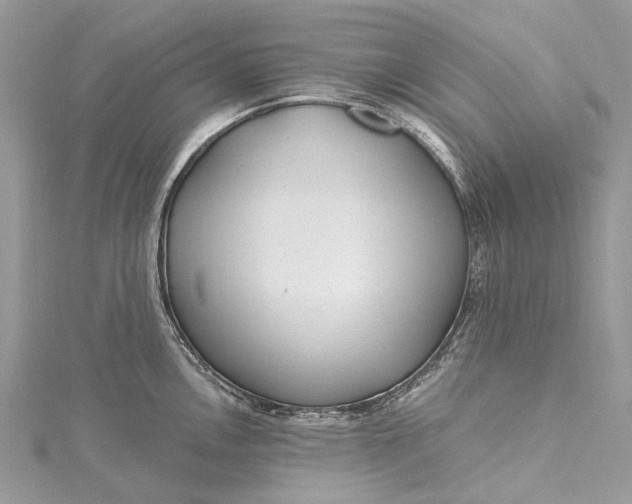 X0000115521146200911201654