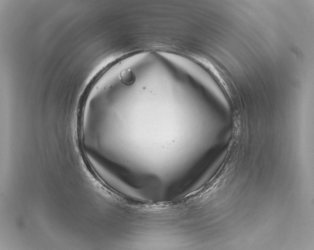 X0000115521147200911201654