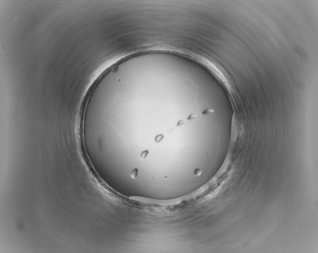 X0000115521149200911201654