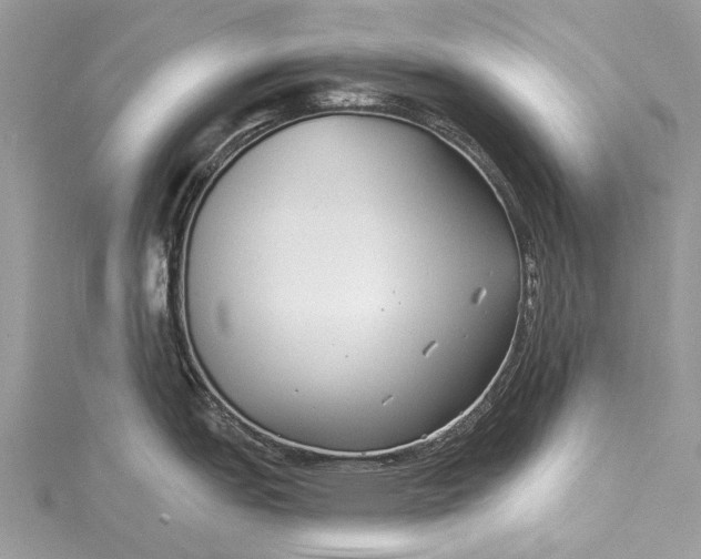 X0000115521151200911201654