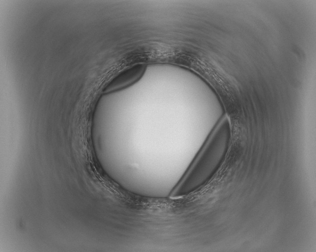 X0000115521153200911201653