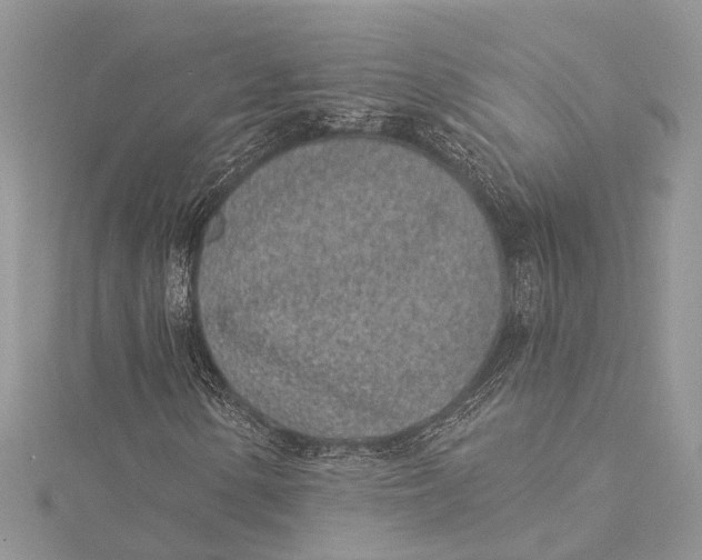 X0000115521154200911201653